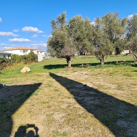 Appartement Tra Mare E Monti Ghisonaccia Szoba fotó